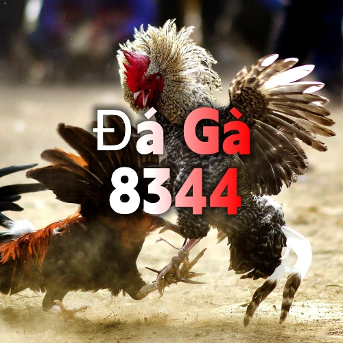 bj88 - Đăng nhập